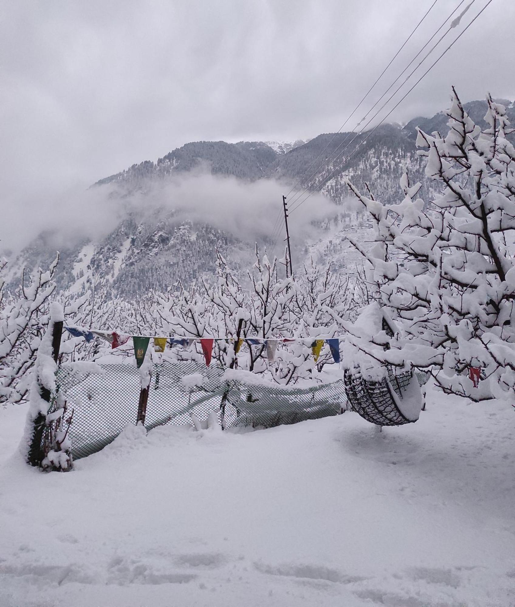 The Hideout - Hiraeth Hostel Manali  Exterior photo